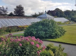 Greenhouse at Mount Congreve gardens