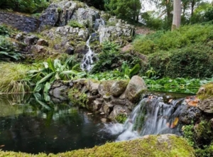 waterfall at Mount Congreve gardens